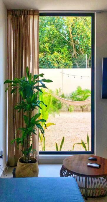 Casa Camilla, Bright, Spacious And Comfortable Villa Playa del Carmen Exterior foto